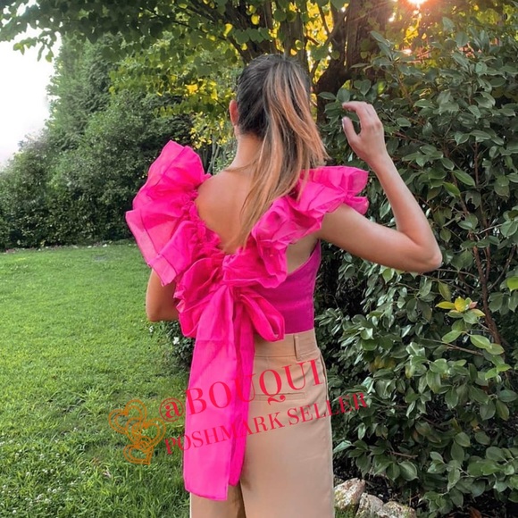 BLOGGERS FAV ZARA ORGANZA SLEEVES KNIT TOP - Picture 10 of 11